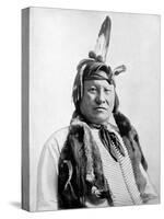 Rain-in-the-Face, Lakota Indian War Chief-Science Source-Stretched Canvas