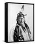 Rain-in-the-Face, Lakota Indian War Chief-Science Source-Framed Stretched Canvas