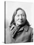 Rain-in-the-Face, Lakota Indian War Chief-Science Source-Stretched Canvas