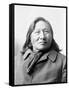 Rain-in-the-Face, Lakota Indian War Chief-Science Source-Framed Stretched Canvas