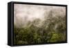 Rain Mist Rising from the Forest Canopy in Danum Valley-James Morgan-Framed Stretched Canvas