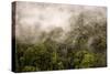 Rain Mist Rising from the Forest Canopy in Danum Valley-James Morgan-Stretched Canvas