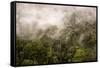 Rain Mist Rising from the Forest Canopy in Danum Valley-James Morgan-Framed Stretched Canvas