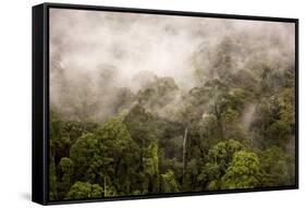 Rain Mist Rising from the Forest Canopy in Danum Valley-James Morgan-Framed Stretched Canvas