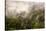 Rain Mist Rising from the Forest Canopy in Danum Valley-James Morgan-Stretched Canvas