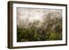 Rain Mist Rising from the Forest Canopy in Danum Valley-James Morgan-Framed Photographic Print