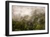 Rain Mist Rising from the Forest Canopy in Danum Valley-James Morgan-Framed Photographic Print