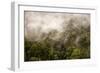 Rain Mist Rising from the Forest Canopy in Danum Valley-James Morgan-Framed Photographic Print