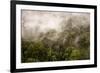 Rain Mist Rising from the Forest Canopy in Danum Valley-James Morgan-Framed Photographic Print