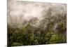 Rain Mist Rising from the Forest Canopy in Danum Valley-James Morgan-Mounted Photographic Print