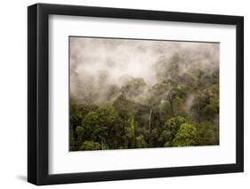 Rain Mist Rising from the Forest Canopy in Danum Valley-James Morgan-Framed Photographic Print