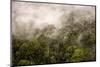 Rain Mist Rising from the Forest Canopy in Danum Valley-James Morgan-Mounted Photographic Print