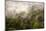 Rain Mist Rising from the Forest Canopy in Danum Valley-James Morgan-Mounted Photographic Print