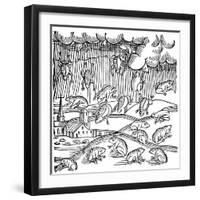 Rain of Frogs Recorded in 1355-null-Framed Premium Giclee Print