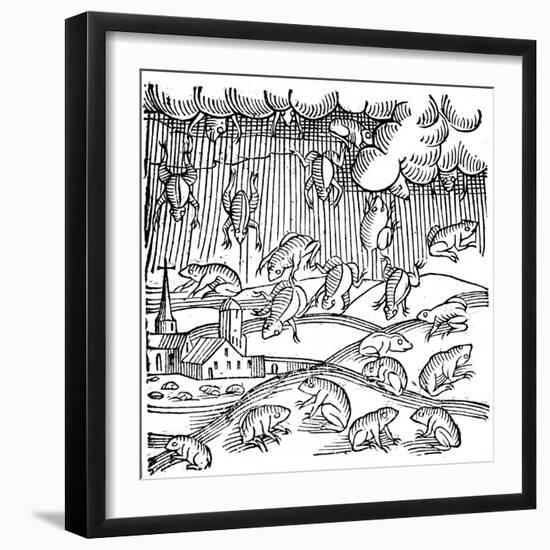 Rain of Frogs Recorded in 1355-null-Framed Premium Giclee Print