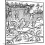 Rain of Frogs Recorded in 1355-null-Mounted Premium Giclee Print