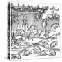 Rain of Frogs Recorded in 1355-null-Stretched Canvas