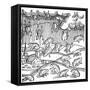 Rain of Frogs Recorded in 1355-null-Framed Stretched Canvas