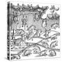 Rain of Frogs Recorded in 1355-null-Stretched Canvas