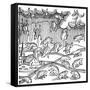 Rain of Frogs Recorded in 1355-null-Framed Stretched Canvas