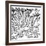 Rain of Frogs Recorded in 1355-null-Framed Giclee Print