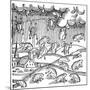 Rain of Frogs Recorded in 1355-null-Mounted Giclee Print