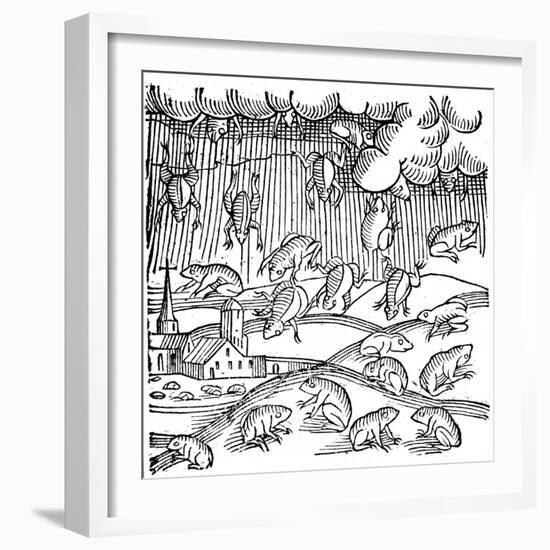 Rain of Frogs Recorded in 1355-null-Framed Giclee Print