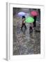 Rain on Cobbled Street, Seville, Andalucia, Spain, Europe-Stuart Black-Framed Photographic Print