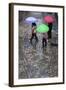 Rain on Cobbled Street, Seville, Andalucia, Spain, Europe-Stuart Black-Framed Photographic Print