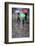 Rain on Cobbled Street, Seville, Andalucia, Spain, Europe-Stuart Black-Framed Photographic Print