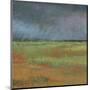 Rain Passing Through-Jeannie Sellmer-Mounted Giclee Print