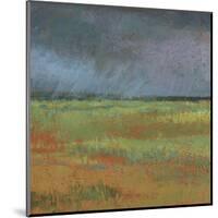 Rain Passing Through-Jeannie Sellmer-Mounted Art Print