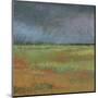 Rain Passing Through-Jeannie Sellmer-Mounted Art Print