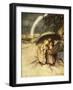 Rain, rain, go to Spain-Arthur Rackham-Framed Giclee Print