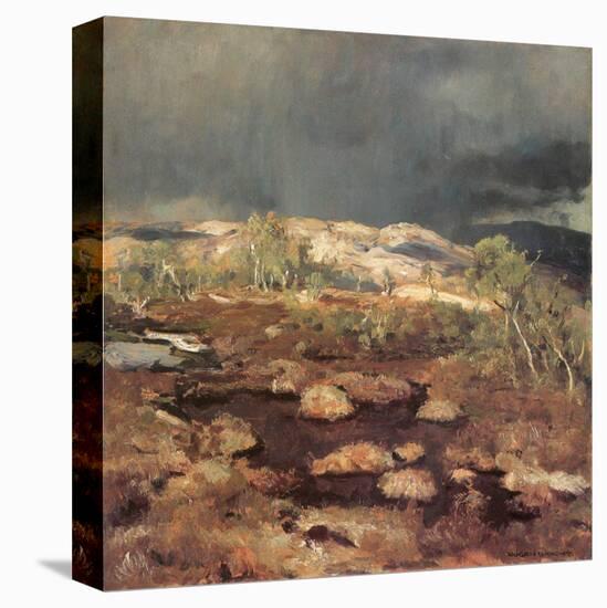 Rain Shower in a Bog in Norway-Eugen Bracht-Stretched Canvas