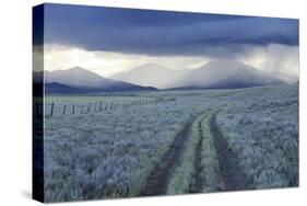 Rain Showers over Sagebrush-Steppe at the Foot of the Sawtooth Mountains-Gerrit Vyn-Stretched Canvas