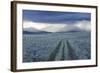 Rain Showers over Sagebrush-Steppe at the Foot of the Sawtooth Mountains-Gerrit Vyn-Framed Photographic Print