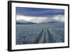 Rain Showers over Sagebrush-Steppe at the Foot of the Sawtooth Mountains-Gerrit Vyn-Framed Photographic Print