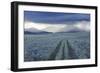 Rain Showers over Sagebrush-Steppe at the Foot of the Sawtooth Mountains-Gerrit Vyn-Framed Photographic Print