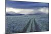 Rain Showers over Sagebrush-Steppe at the Foot of the Sawtooth Mountains-Gerrit Vyn-Mounted Photographic Print