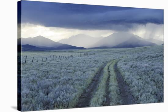 Rain Showers over Sagebrush-Steppe at the Foot of the Sawtooth Mountains-Gerrit Vyn-Stretched Canvas