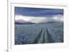 Rain Showers over Sagebrush-Steppe at the Foot of the Sawtooth Mountains-Gerrit Vyn-Framed Photographic Print