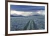 Rain Showers over Sagebrush-Steppe at the Foot of the Sawtooth Mountains-Gerrit Vyn-Framed Photographic Print