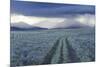 Rain Showers over Sagebrush-Steppe at the Foot of the Sawtooth Mountains-Gerrit Vyn-Mounted Photographic Print