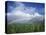 Rainbow Above Sugar Cane Field on Maui-James Randklev-Stretched Canvas