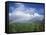 Rainbow Above Sugar Cane Field on Maui-James Randklev-Framed Stretched Canvas