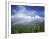 Rainbow Above Sugar Cane Field on Maui-James Randklev-Framed Photographic Print