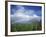 Rainbow Above Sugar Cane Field on Maui-James Randklev-Framed Photographic Print