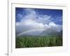 Rainbow Above Sugar Cane Field on Maui-James Randklev-Framed Photographic Print