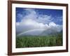 Rainbow Above Sugar Cane Field on Maui-James Randklev-Framed Photographic Print